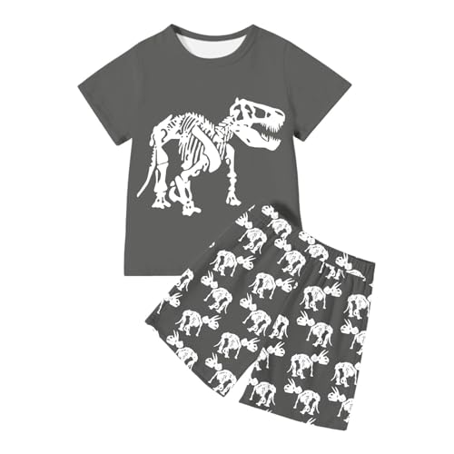 Traje de lino para niños, conjunto de camiseta y pantalones cortos con estampado de dinosaurios para niños para tiempo libre y deporte, hermanos y hermanas, sesión de fotos, gris, 5-6 años