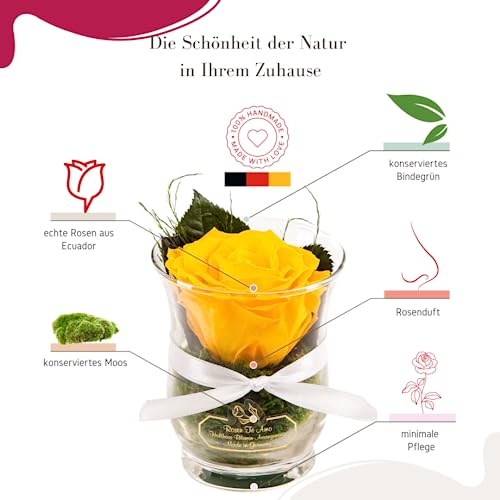 Rosen-Te-Amo, Cadeaus voor haar || Valentijnsdag geconserveerde eeuwige roos in glas geel | geurend | handgemaakt met echte folie in fijne geschenkdoos || Infinity Rozen: decoratie en geschenken voor - Image 4
