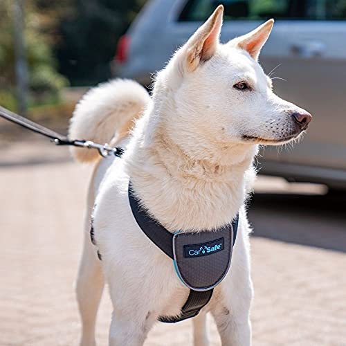 CarSafe Hunde Reisegeschirr, sicher & gesetzeskonform mit dem Hund unterwegs, erfüllt die Straßenverkehrsordnung, Tiere im Auto zu sicheren, für mittelgroße Hunde geeignet (Größe M)