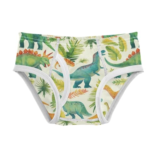 Wusikd Watercolor Dinosaurs Boys' Underwear Cotton Palm Leave Trees Boys Briefs Soft Toddler Underwear 2T