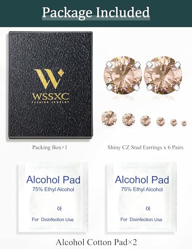 Image of 6 Pairs Stud Earrings Set, Hypoallergenic Cubic Zirconia 316L Earrings Stainless Steel CZ Earrings 3-8mm (Steel color)