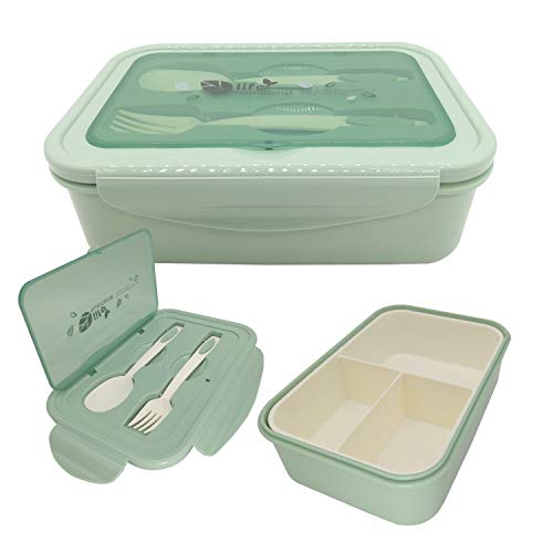 Bento Box, Lunch Box for Kids Adults, 3 Compartment Bento Lunch container, Food