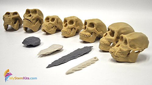 Top 30 Math Educational Software of 2022 [Verified] - CherryPicksReviews