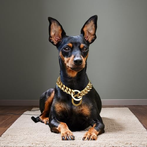 Chaine chien anti rupture a boucle d attache rapide 61cm - 5