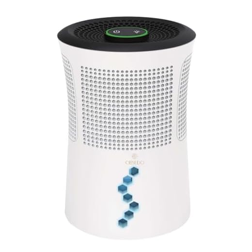 Desumidificador de Ar Ambiente Elétrico - Antimofo, Antiodor e Saúde para sua Casa