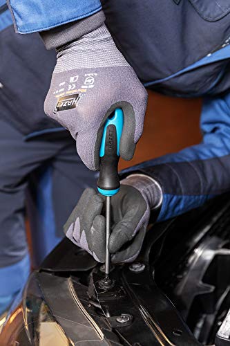 Image of Hazet 810T /6 Screwdriver Set Torx 6 Piece