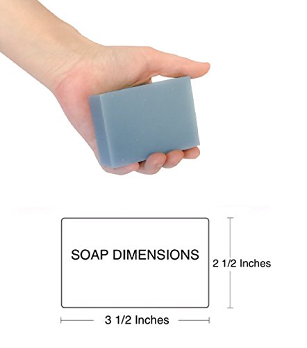 Handmade, Natural And Organic Cold Process Soap Bars. Made With High Quality Ingredients. Great For Sensitve Skin. All Skin Types. (Arnica Soap, 1 Pack) #TOP4
