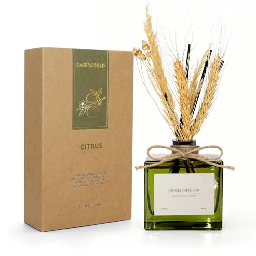 GAGINGOOLD Reed Diffuser, 6.09 oz Citrus Grove Scent Diffuser with Sticks & Dried Flowers, 120 Days Long Lasting Diffusers for Home, Elegant Fragrance for Bathroom Bedroom Office Decor Air Fresh