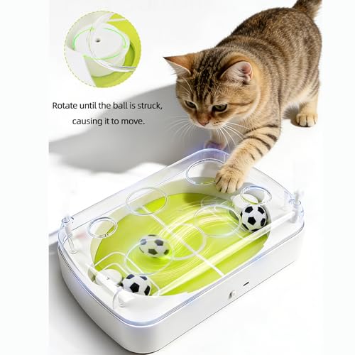 Simulation de chasse pour chat avec balles électriques de football - 7