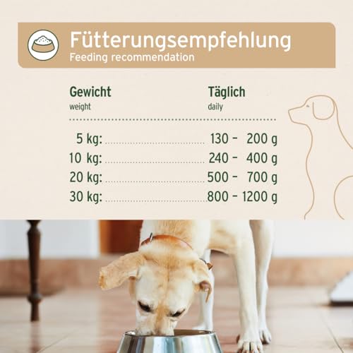 AniForte Hundefutter Nass WildBuffalo 6 x 800g – Nassfutter für Hunde, Frischer Büffel mit Gemüse & Früchten, hoher Fleischanteil, Natürliches Hundenassfutter glutenfrei