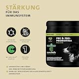 Peticare Probiotika & Präbiotika Pulver für Hunde | Immunsystem stärken, Darmsanierung, Darmflora aufbauen | bei Allergie-Anfälligkeit & Juckreiz | natürliches Ergänzungsfutter - petDog Health 2501