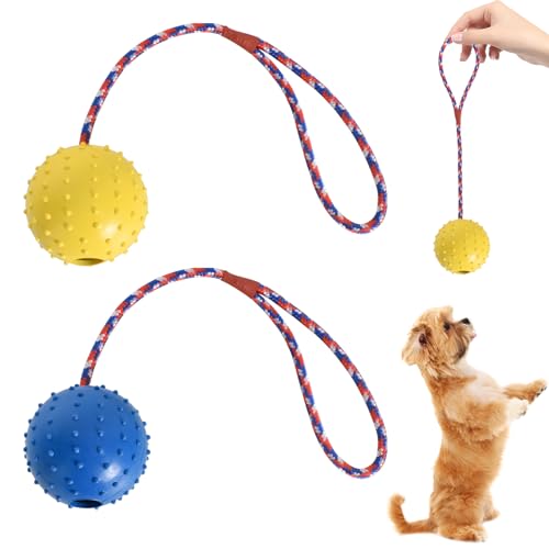 Disnace Durable Balls For Dogs,Dog Rope Ball,Ball With Rope Dog Toy,Natural Elastic Solid Rubber Dogs Balls,Hollow Rubber Ball,Interactive Dog Ball On a String-Yellow & Blue (ø 7 X 30)