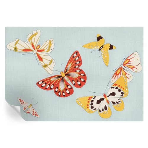 Decoración de pared de mariposas para renovar un salón sin pintar 2