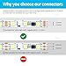 RGBZONE 3 Pin 10mm LED Connector Kit with 32.8ft 3 Pin Extension Cable and 10 Pcs 3 Pin LED Strip to Wire Connectors for 10mm IP20/IP65 SMD 5050 Dream Color LED Strip Light WS2811 WS2812B