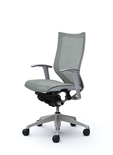 オカムラ 岡村製作所 デスクチェア オフィスチェア バロン ハイバック 可動肘 座メッシュ ライトグレー CP85CW-FDH3