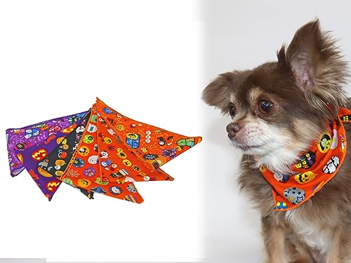 mCHAMMYnynEBo_i 12ZbgzA\[g g~O o_i g}[  q 킢  Zbg ps[ e Jbg dグ A\[g lߍ킹  T}[  䂩 ybg T (LTCY)