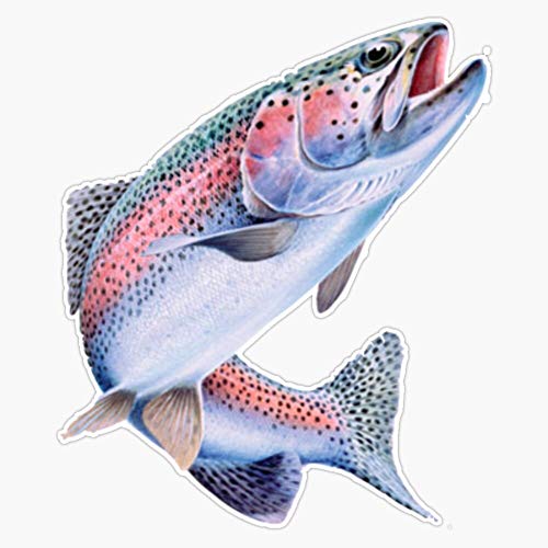 Rainbow Trout Fish Vinyl Waterproof Sticker Decal Car Laptop Wall Window Bumper Sticker 5