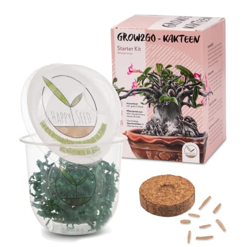 GROW2GO Cactus Starter Kit - Juego de plantación de mini-invernadero, semillas de cactus y tierra - idea de regalo sostenible para los amantes de las plantas (Adenium obesum) Cover