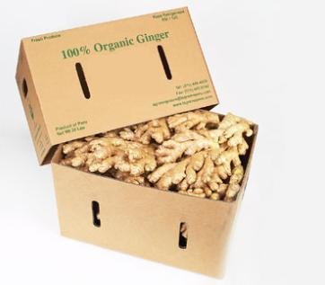 Organic fresh ginger from Pure (2)