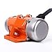 BIZOEPRO Concrete Vibrator Vibration Motor 30W Mini Vibrating Single Phase Aluminum Alloy AC 110V 3600rpm for Shaker Table