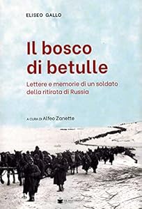 Il bosco delle betulle. Lettere e memorie di un soldato della ritirata di Russia