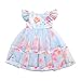 Carolilly Abito Bambina Principessa a Rose Vestito da Cerimonia Elegante Abito Battesimo Neonata Abito da Sposa Floreale in Pizzo Abiti Tutu Multistrato per Compleanno Ragazza (Blu, 2-3 Anni)