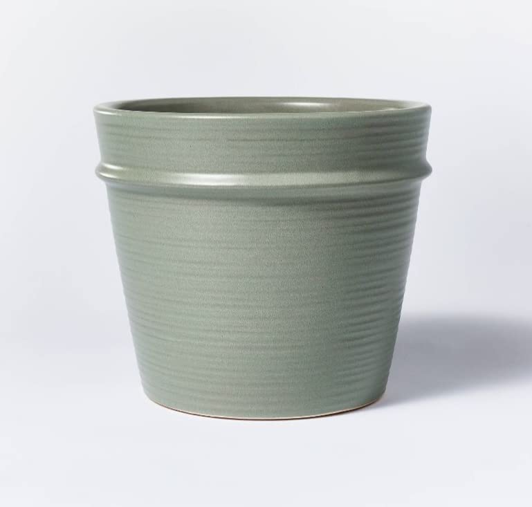 Earthenware Tabletop Decorative Planter - Threshold™ Designed with Studio McGee (Gray)