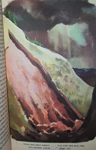 The jungle books Vol. one & Vol. two B004BWBGCO Book Cover