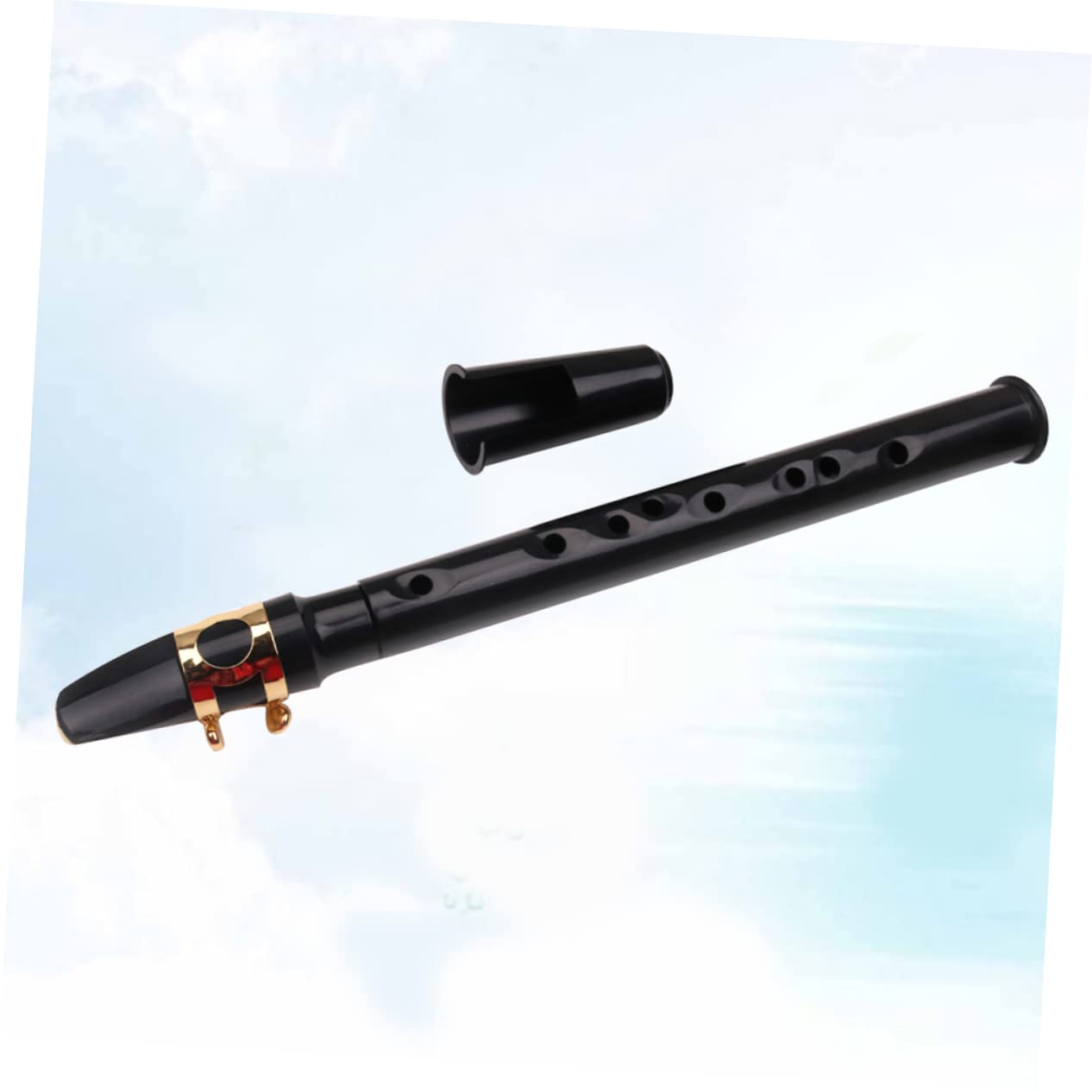 Toyvian 2pièces Mini Saxophone Portable Noir Instrument à Vent Compact Pour Musiciens Déplacement
