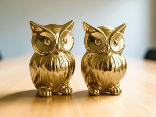 Image of Chocozone Pack of 2 Owl Showpiece for Good Luck Vastu Feng Shui Items for Home Decor Figurines Decorative Items for Home Showpieces for Living Room
