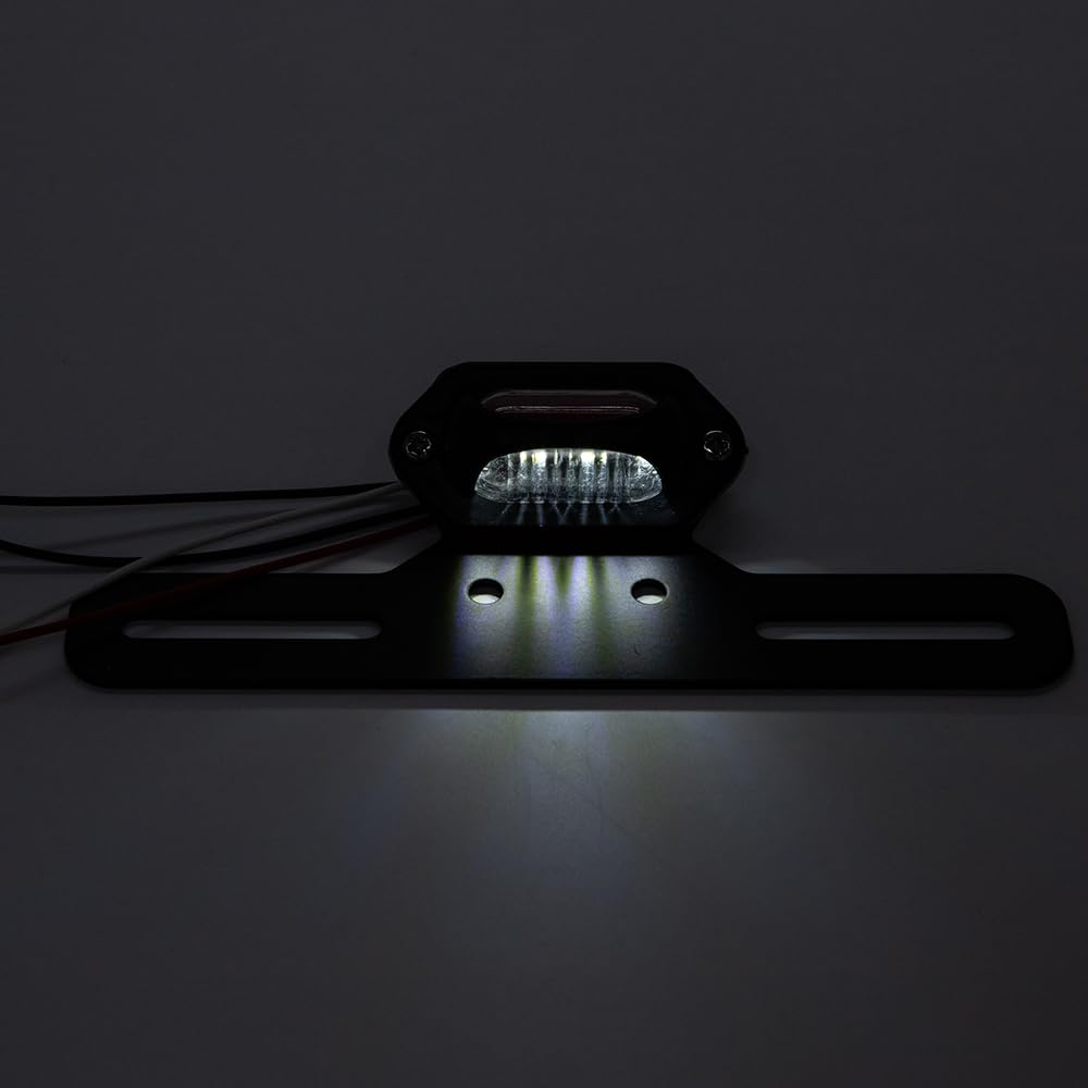 Faro Posteriore Moto con Supporto Fanale Posteriore Moto LED Fanale Stop Omologato E24 Compatibile con Street Cruiser Chopper Cafe Racer