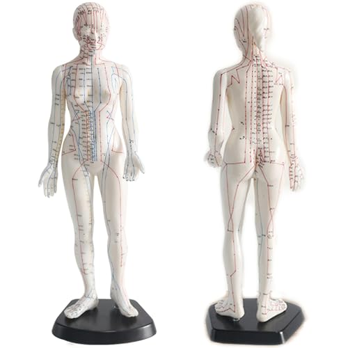 Muñeca de acupuntura femenina de 48 cm con meridiano y 361 puntos de presión, modelo de entrenamiento de PVC transparente grabado para terapia de masaje