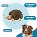Outward Hound Hedgehogz Stuffed Dog Toy – Soft Plush Hedgehog, Grunts & Squeaks, Large, 12