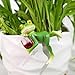 Suqorinp Miniature Frog Figurines Plant Decorations for Pots, Funny Frog Garden Decor Outdoor Gifts Women Frog Statue Planter Hugger for Flower,Yard,Lawn Ornament,3.94