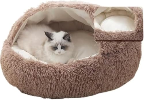 Farigrut LpnEX ybgxbh Lp p ^ h[^ ~ ی^ ӂӂ _炩 ۉ g  NbV }bg  Vv ʔNp  |vs TCY 2