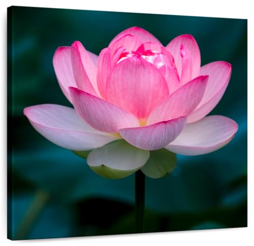 ElephantStock - Delicate Lotus Wall Art - Square Canvas Wall