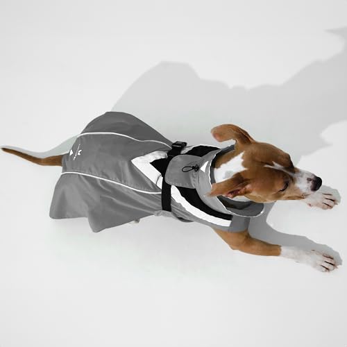 DOGOPAL Regenmantel Hund wasserdicht für kleine & große Hunde - Hunderegenmantel mit Reflektorstreifen - Wasserdichter Hundemantel, Regenschutz & Regenjacke (Grau, 2XL)