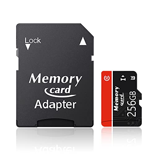 Raccjoee [J[h }CNsdJ[h ϋv 256GB e t@C] Class10Ή Card 5Nۏؕt -D