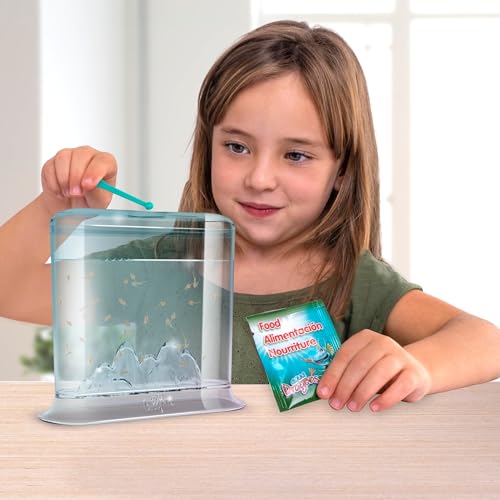 Aqua Dragon Underwater World Aquatic Pets, STEM-Lernspielzeugset, lebende Haustiere ausbrüten und wachsen Lassen, Eier, Futter, Löffel, Lupe, für Kinder ab 6 Jahren, 17 x 6 x 18 cm