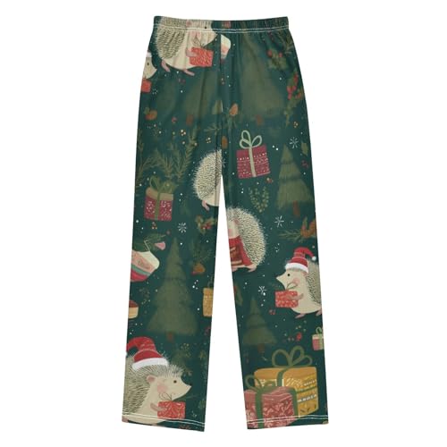 ZZXXB Xmas Hedgehog Tree Boys Long Pants Soft Trousers Elastic Waist Kids Lounge Bottoms with Pockets S-XL2
