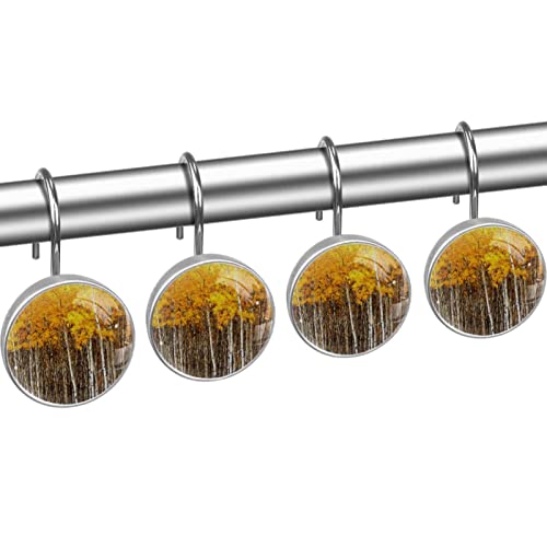 Crochets pour rideau de douche forêt d'automne en acier inoxydable x12