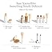 Ogee Complexion Perfecting Liquid Foundation - Lightweight Tinted Moisturizer For Face (Cedar 1.20C - Fair, Pink-Beige Undertones) - with Vitamin C & Jojoba Oil - Certified Organic & Made in USA