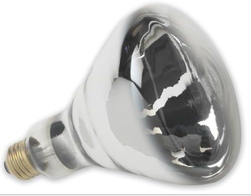 Clear Heat Lamp 125 Watt