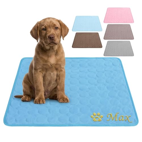 DBLXYAN Tappetino rinfrescante per cani personalizzato con nome e foto, coperta rinfrescante estiva in seta ghiacciata lavabile per cani gatti, tappetino portatile auto rinfrescante per cuccia divano
