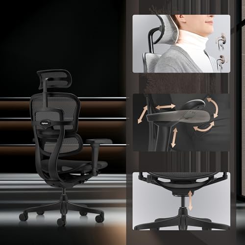 hjh OFFICE Bürostuhl ergonomisch ERGOHUMAN Signature GEN2 Originales Design, Bürosessel mit Flexibler Lendenwirbelstütze, Netzbespannung, Schwarz