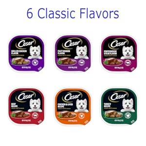 Cesar Comfortable Moist Canine Meals Bundle with 12 Flavors 35 Oz 1 Unit Every Taste Whole of 12 Items with Magnet and Roll of Poop Baggage Cucciolini Doodles Cesar comfortable moist canine meals bundle with 12 flavors 3 5 oz 1 unit every taste Whole of 12 items with magnet and roll of poop baggage cucciolini doodles