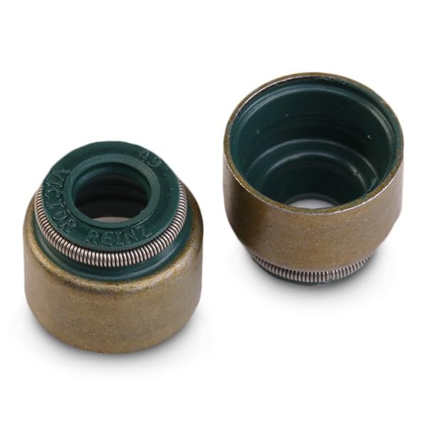 Dichtungssatz, Ventilschaft REINZ 12-53499-01 Für  Produktbild-Vorschau 2