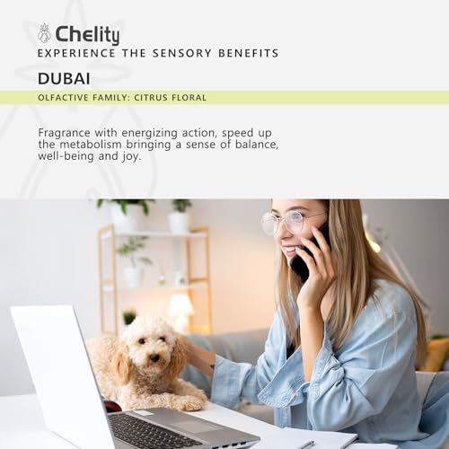 Aceite para difusor Dubai 150ml Cheilty Hotel Scents miniatura 4