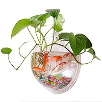 Zerodis Wandbehang Fish Bowl Acrylvase Blumenpflanze Wandmontierter Blumentopf Zum Aufhängen Aquarium Dekorativer Behälter