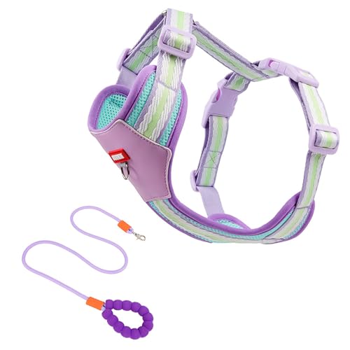 DICOCO 犬 ハーネス 小型犬 犬 胴輪 引っ張り防止 アタマを通さず 咳き込み軽減 サイズ調整可能 抜けない 通気性 簡単着脱 おしゃれ 安全 しつけ用 訓練 歩行補助 可愛い 簡単着脱 持ち運びやすく 散歩や外出に最適 夏に対応 パープル 150c